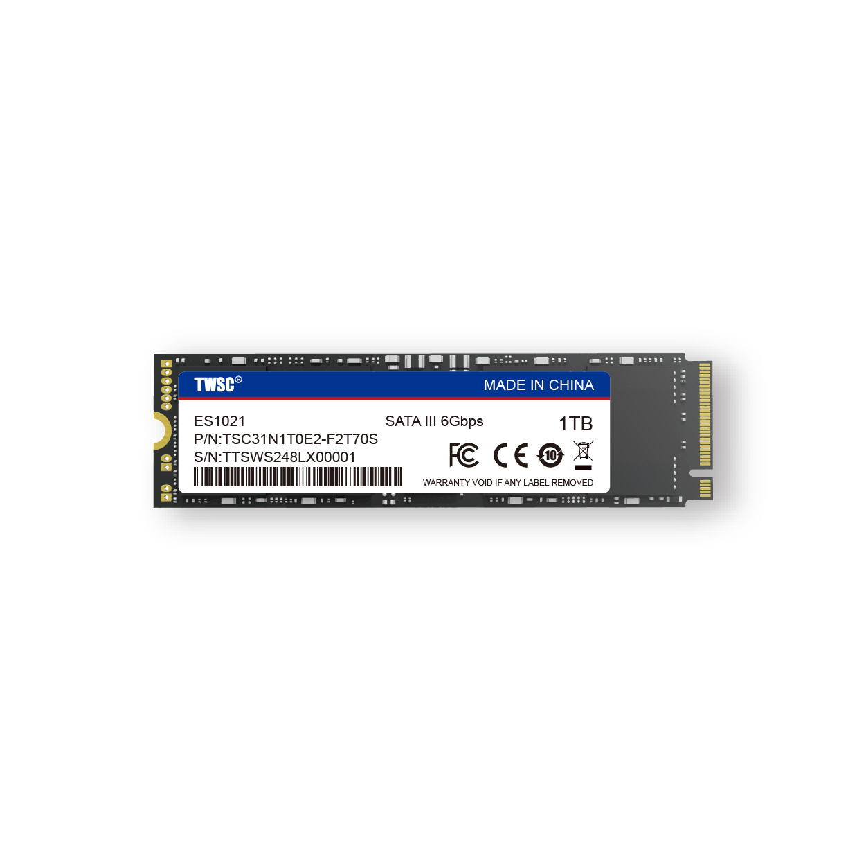 M.2 2280 SATA III SSD ES1021