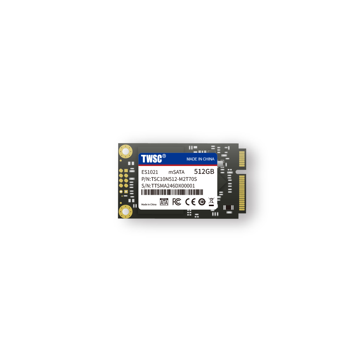 mSATA SSD ES1021