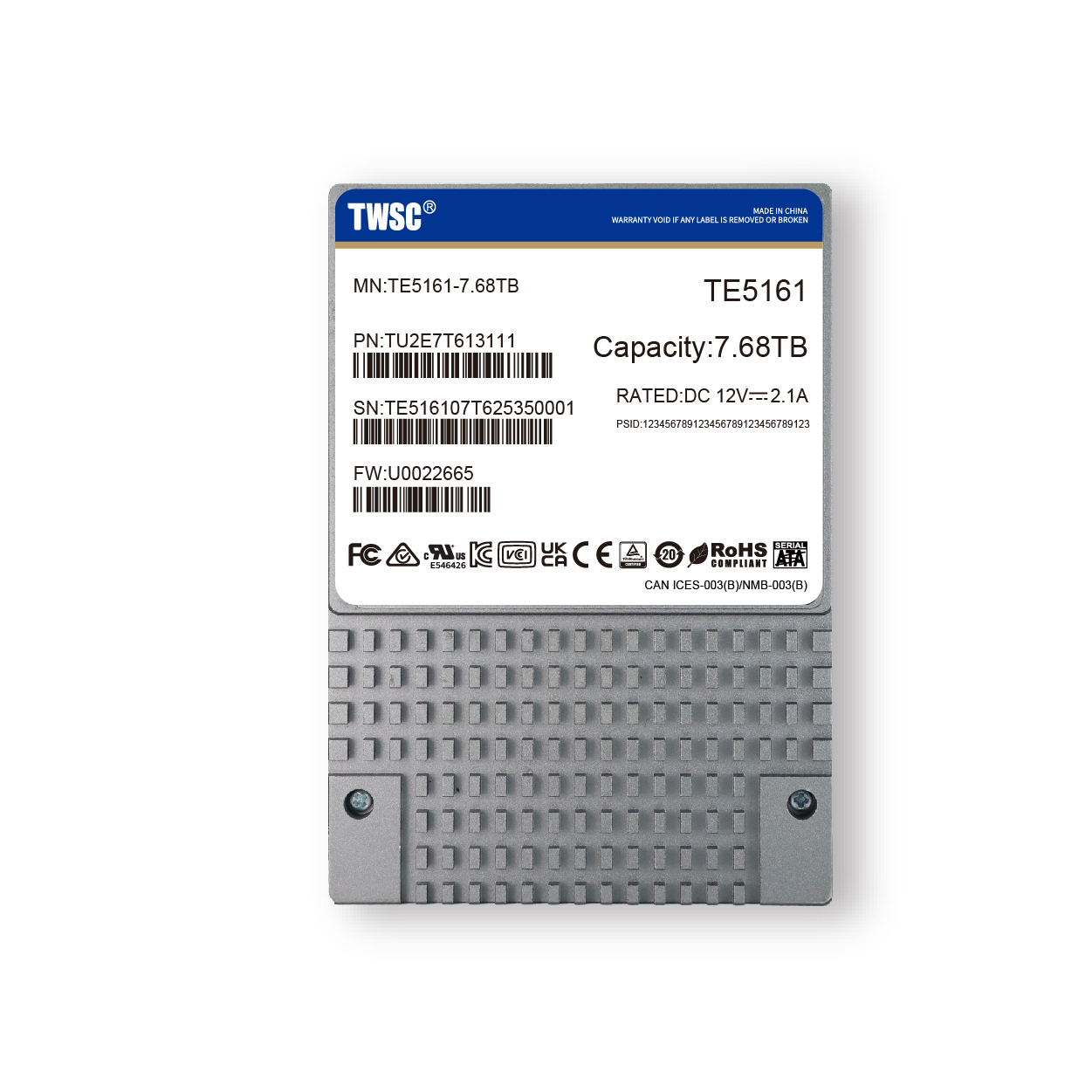 U.2 PCIe NVMe SSD TE5161