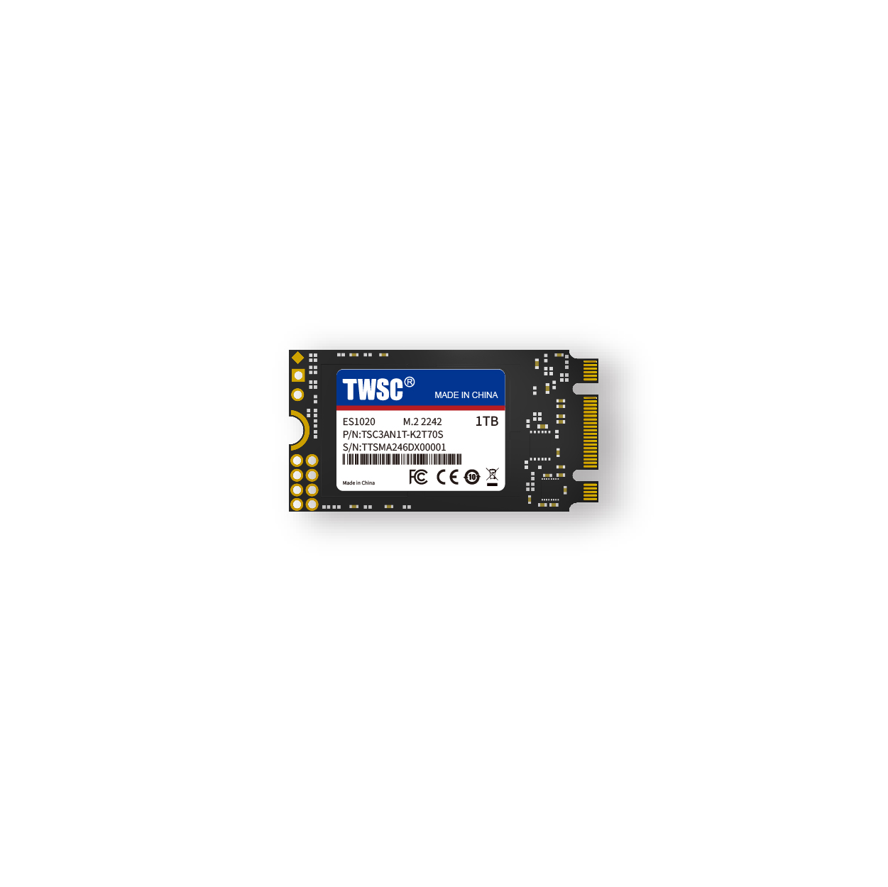 M.2 2242 SATA SSD ES1021