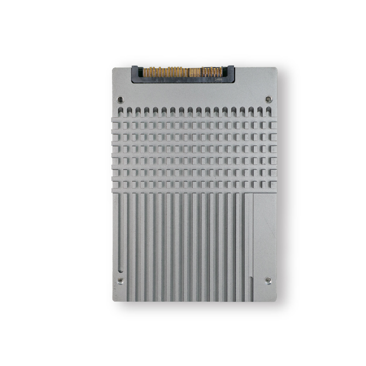 U.2 PCIe NVMe SSD TE5161