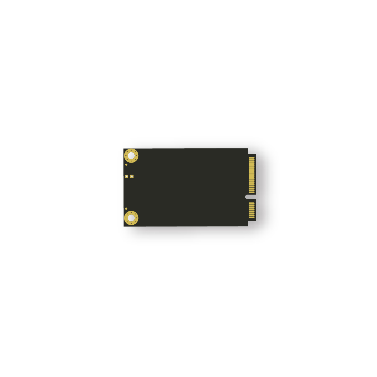 mSATA SSD